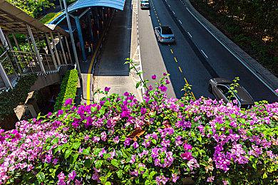 《铁甲少女》登陆多平台发售 美少女动作射击